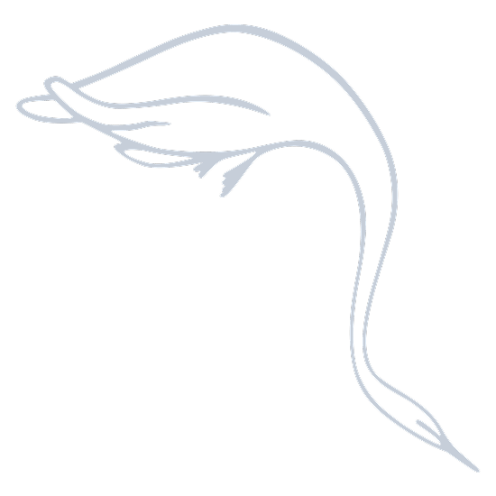 Swan Light