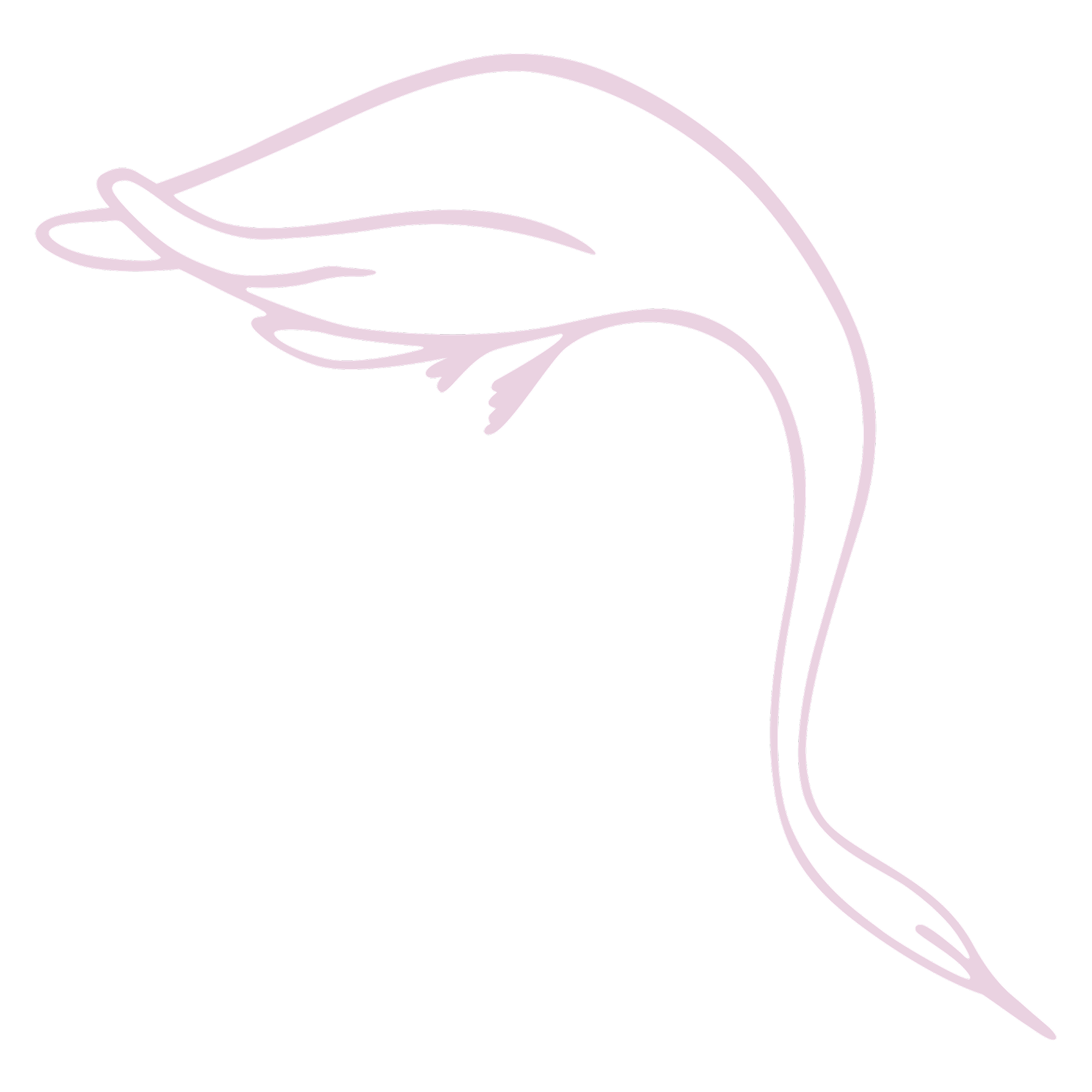Pink Swan